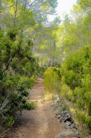 Magdeleine_ferru_Ibiza-16-1-640x480 Ibiza