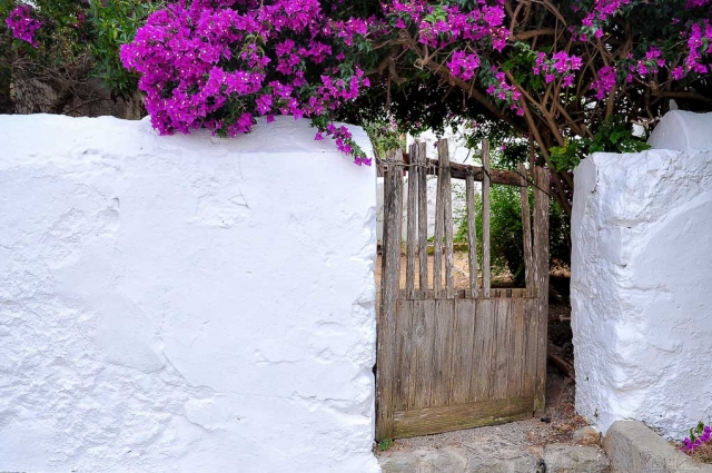 Magdeleine_ferru_Ibiza-20-1-640x480 Ibiza