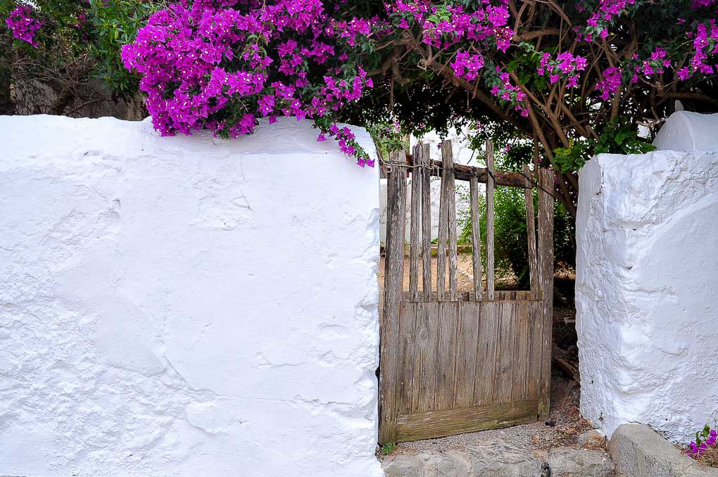 Magdeleine_ferru_Ibiza-20-1 Ibiza