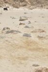 justmagd.montagne-15-680x1024-300x150 Photos Inspiration / Voyages