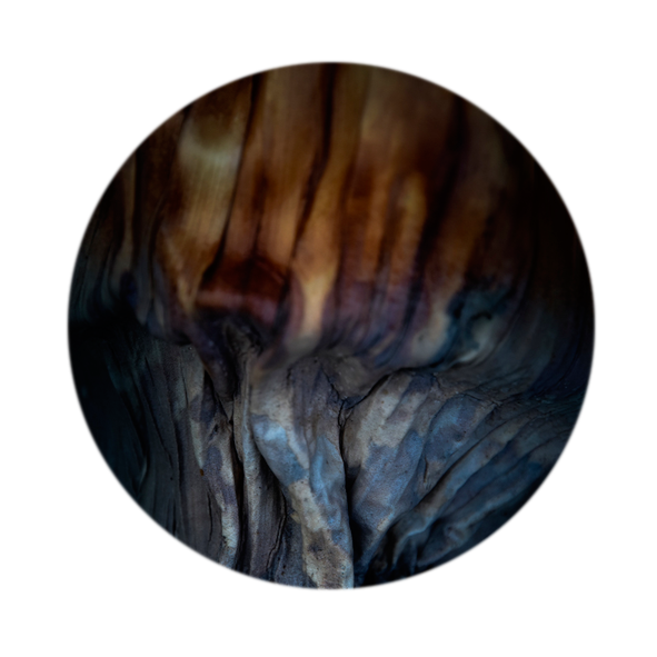 rond.sans_.altre_.mue_ Home