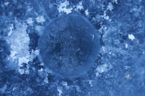 DSC0815-net-300x199 