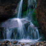 Magdeleine.FERRU_.foret-14-300x150 Photos Inspiration / Voyages