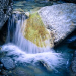 Magdeleine.FERRU_.foret-5-300x150 Photos Inspiration / Voyages