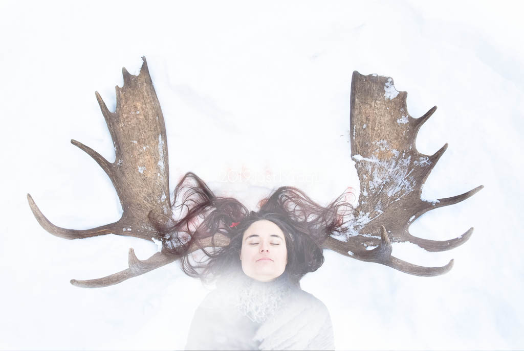 Magdeleine.Ferru_.moose_.antler.net-1 Instinct