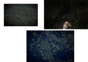 sans.altre_.mue_.grand_.08-300x212 sans.altre.mue.grand.08