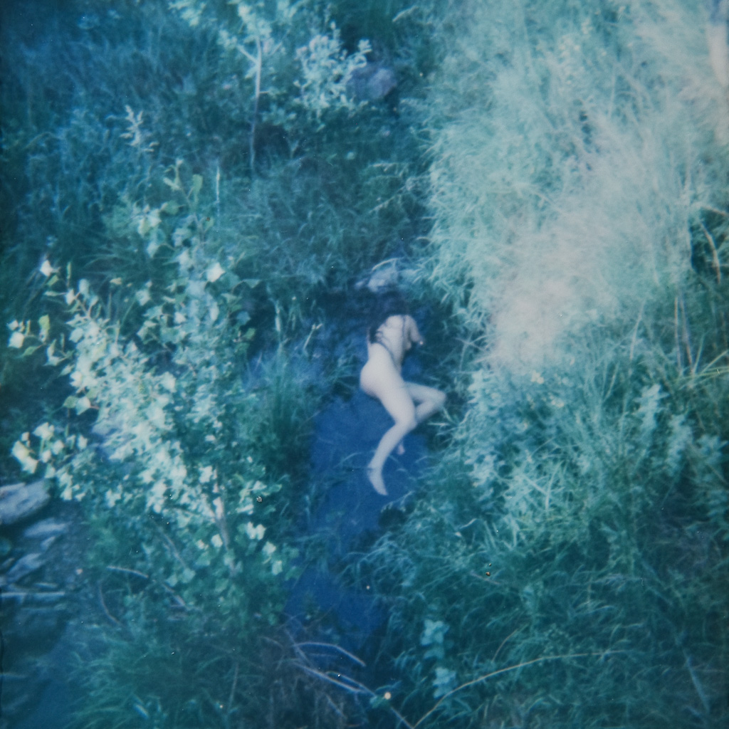 Jardin Secret Polaroid