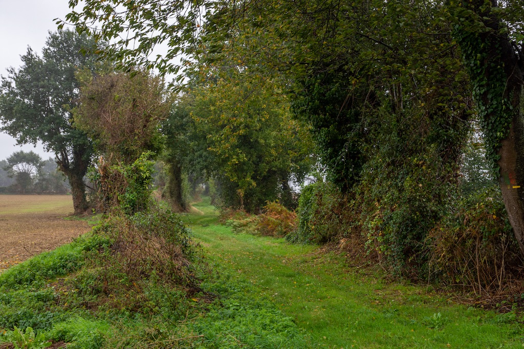 Magdéleine-FERRU-15 Passage