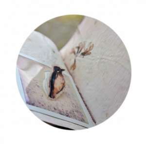 rond.derive.journal-300x300 Projet pour le fond de soutien "Recherche" de L'Adagp