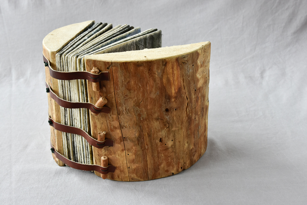 MagdéleineFerru.livre_.dart-32 Artist Book