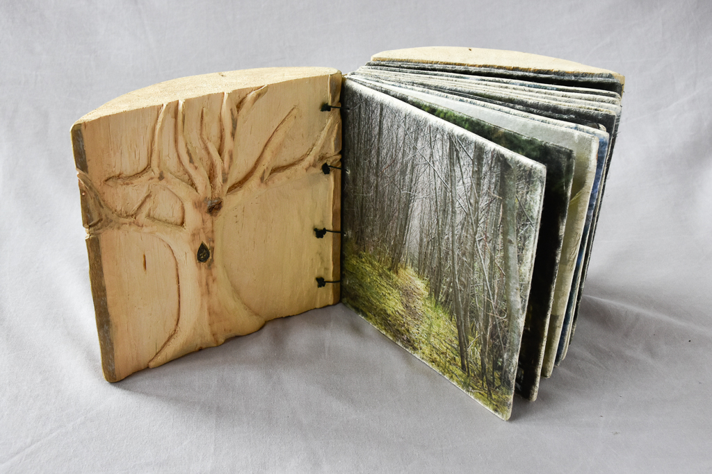 MagdéleineFerru.livre_.dart-33 Artist Book