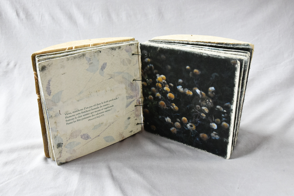 MagdéleineFerru.livre_.dart-34 Artist Book