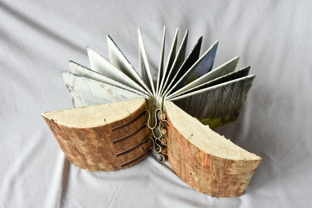 MagdéleineFerru.livre_.dart-37-1 Artist Book