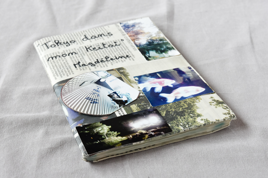 MagdéleineFerru.livre_.dart-60 Journal