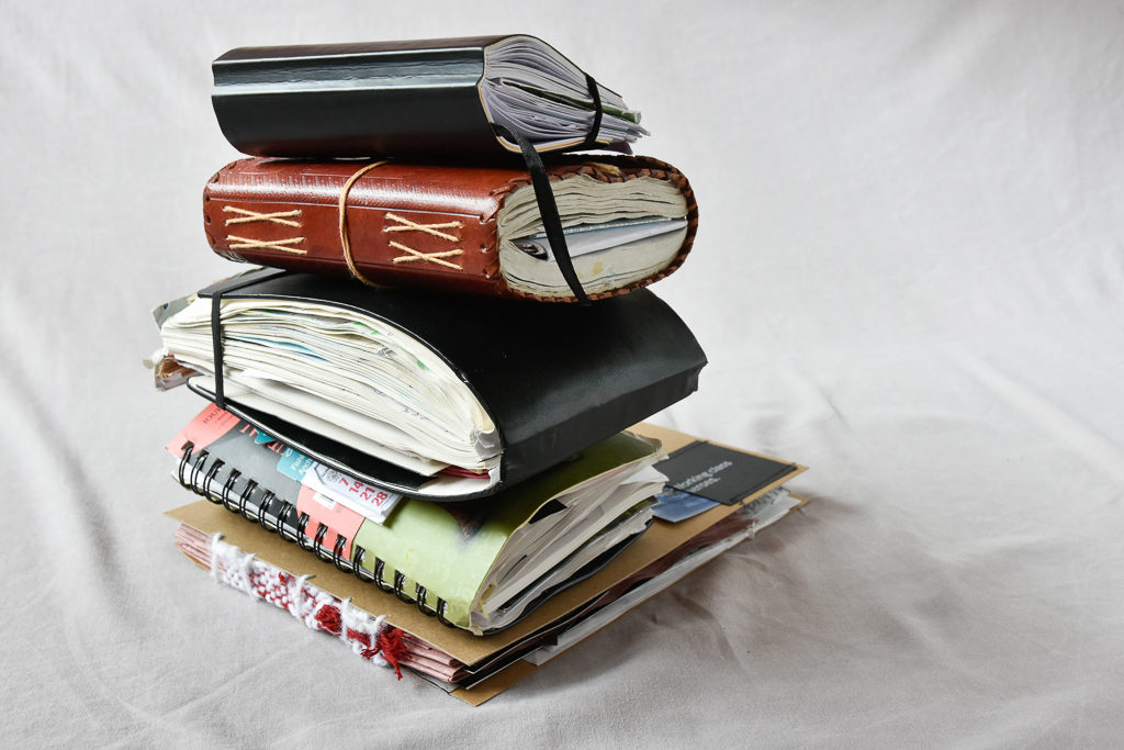 MagdéleineFerru.livre_.dart-64-1024x682 Journal