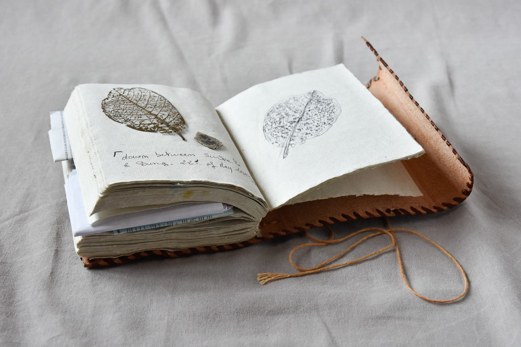 MagdéleineFerru.livre_.dart-66-1024x682 Journal