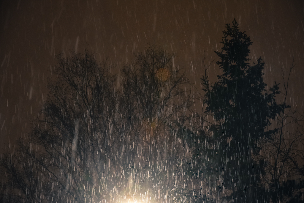 Bia _Quand la neige est cache misère