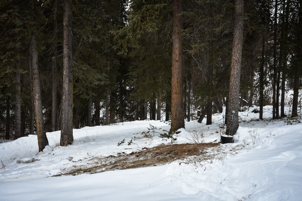 Bia _Quand la neige est cache misère