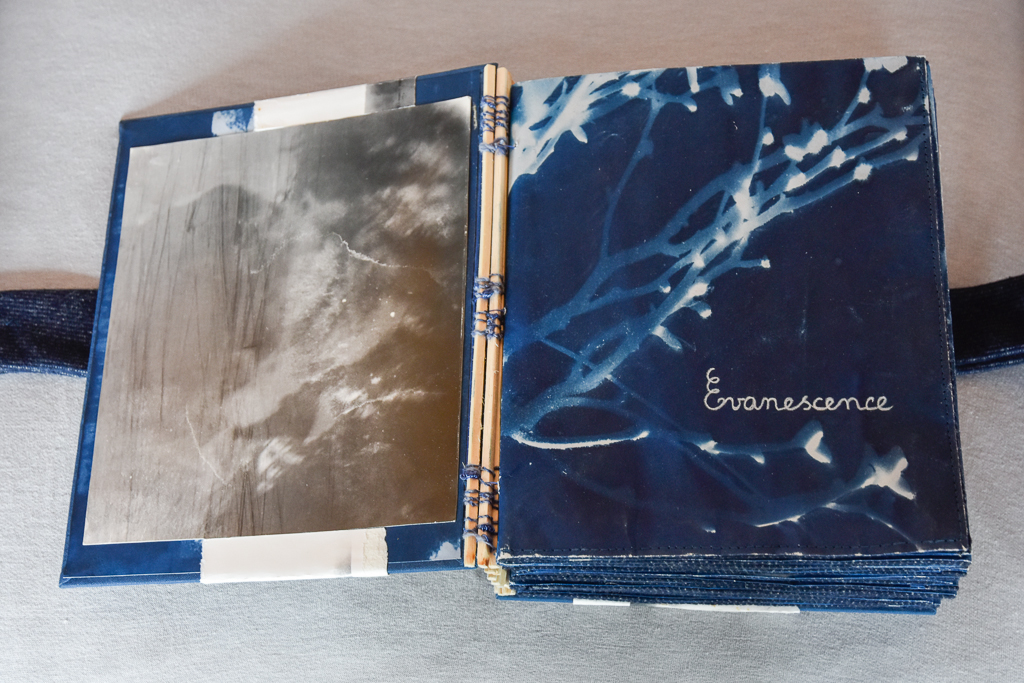 Magdeleine.FERRU_.evanescence.livre_.fini_.2022-14 Artist Book