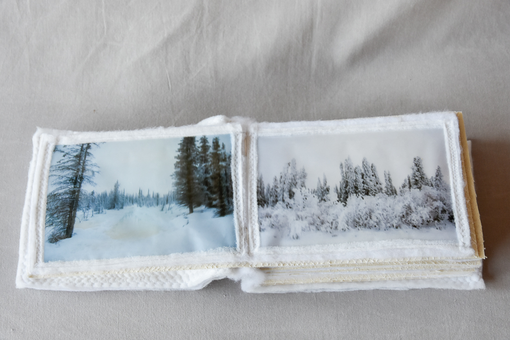 Magdeleine.Ferru_.Fourrure.neige_.net_.2023-11 Artist Book