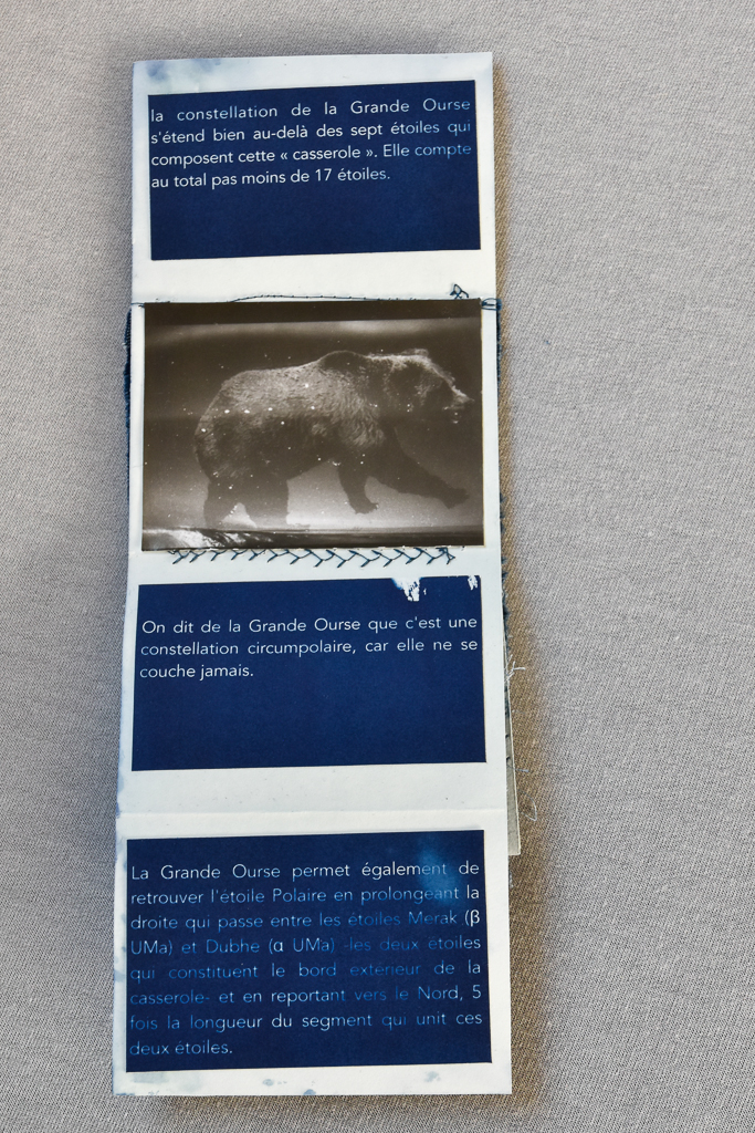 Magdeleine.ferru_.La_.Grande.Ourse-9 Artist Book