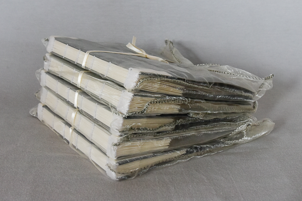 Magdeleine.ferru_.un_.hiver-1 Artist Book