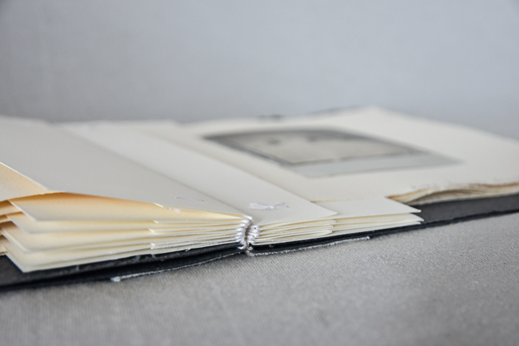 Magdeleine.ferru_.un_.hiver-4 Artist Book