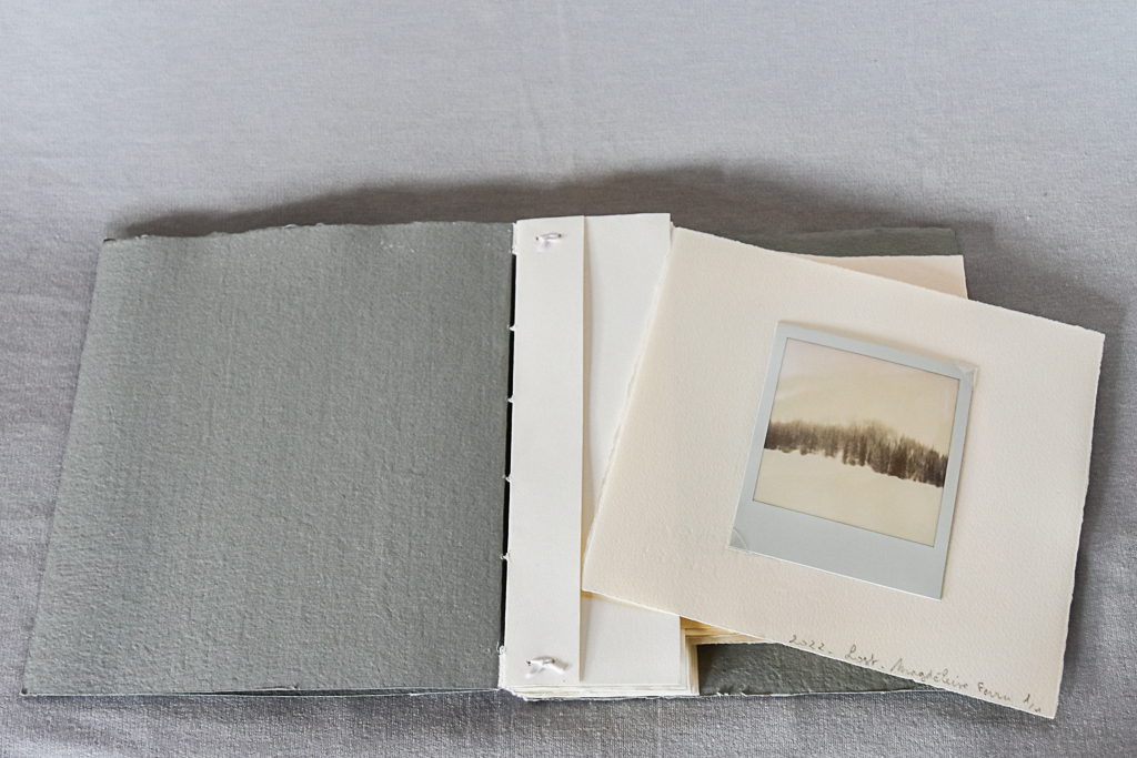 Magdeleine.ferru_.un_.hiver-6 Artist Book