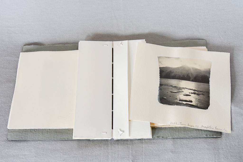 Artist Book