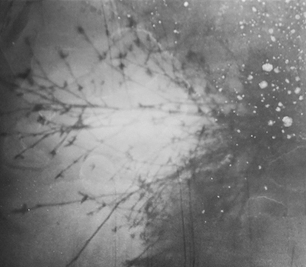 MagD.02 Evanescence