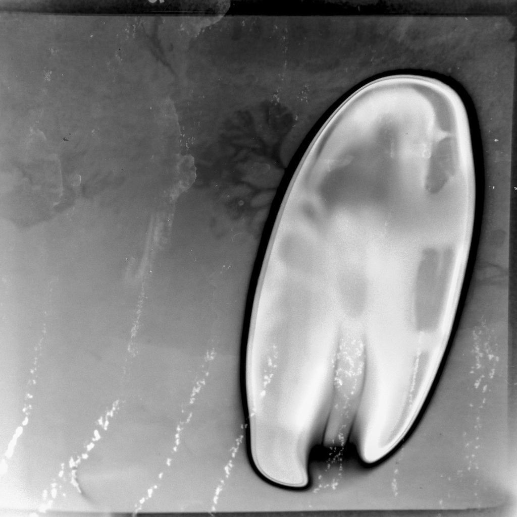 MagD.04 Evanescence