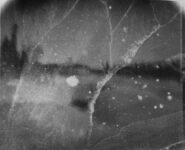 MagD.21-300x150 Photos / experimentation