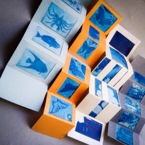 Magdeleine.Ferru_.Cyano-rello-1-300x300 newsletter