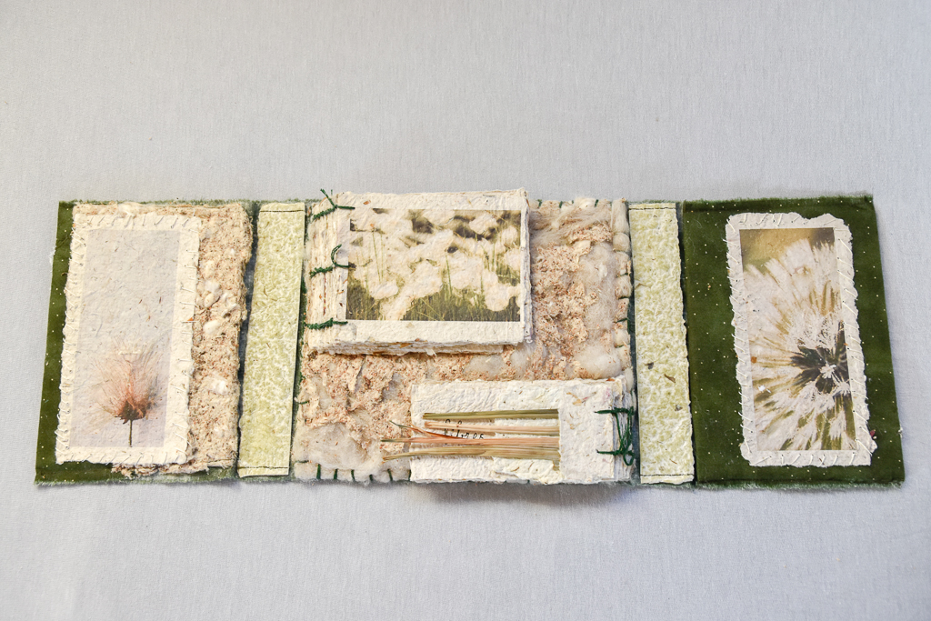 Magdeleine.Ferru_.herbes.folles-12 Artist Book