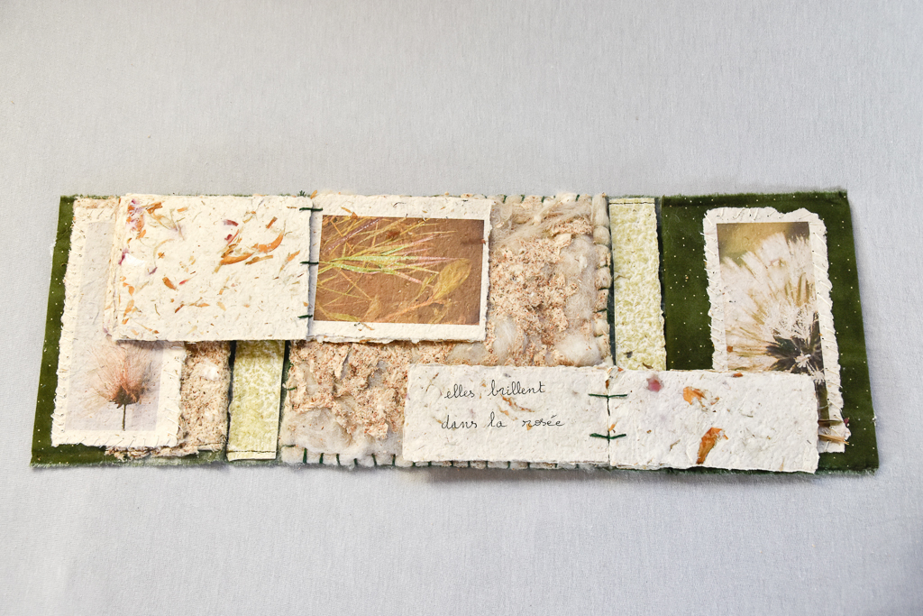 Magdeleine.Ferru_.herbes.folles-15 Artist Book