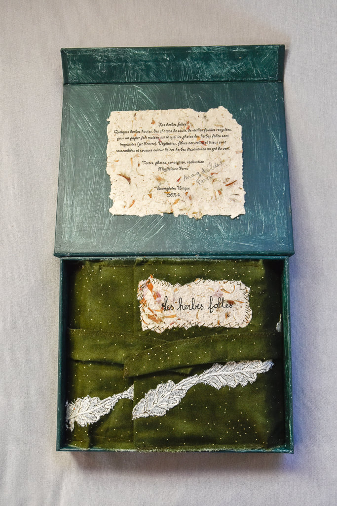 Magdeleine.Ferru_.herbes.folles-3 Artist Book