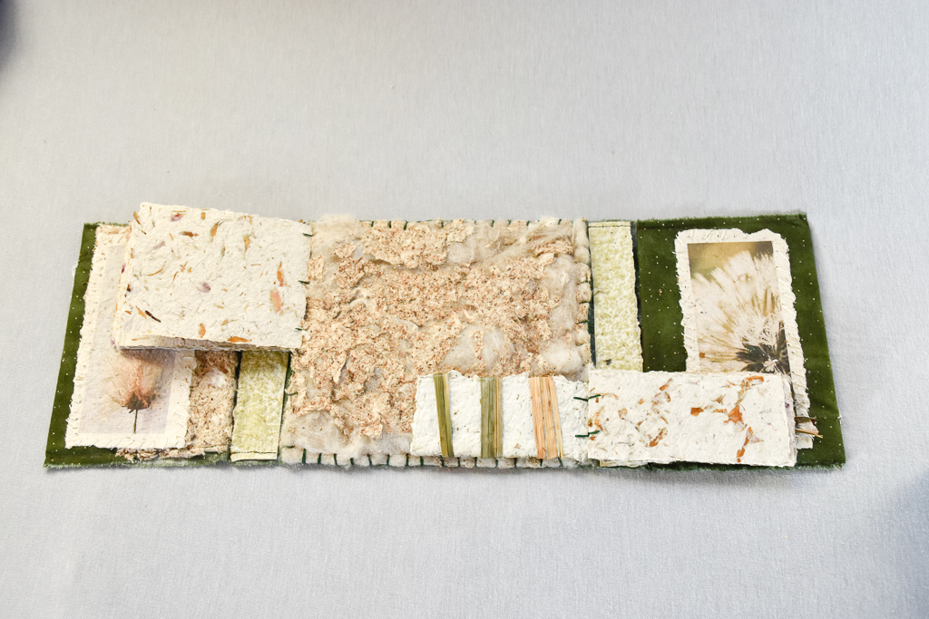 Magdeleine.Ferru_.herbes.folles-35 Artist Book