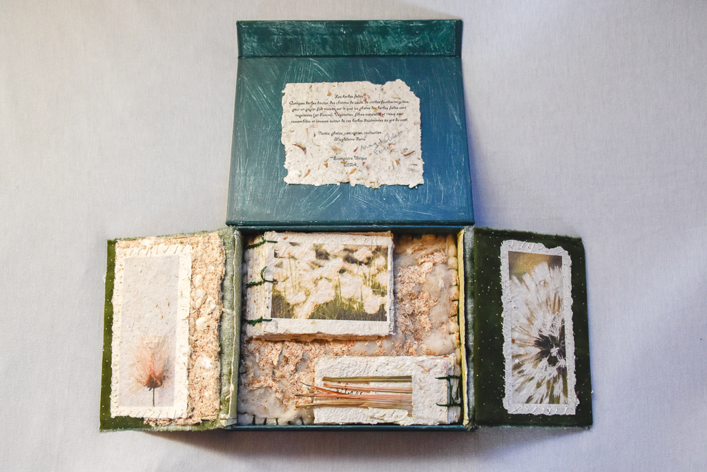Magdeleine.Ferru_.herbes.folles-4 Artist Book