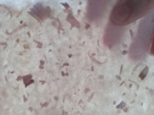 1730788793246-e1730790246842-300x225 Recherche Adagp #3 : faire du papier / making paper