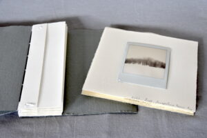 DSC1353-300x200 justmagd.com