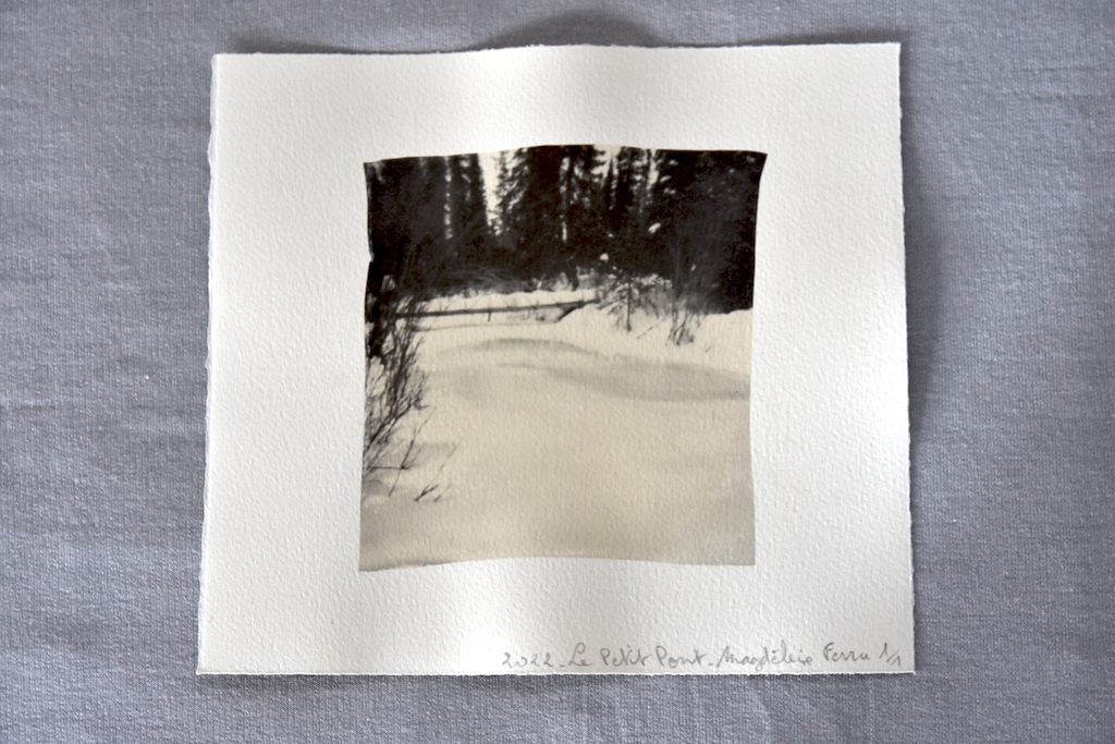 DSC1358 Un hiver