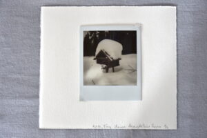 DSC1363-300x200 justmagd.com
