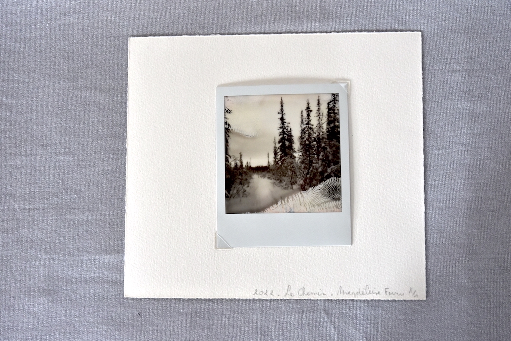 DSC1373 Un hiver