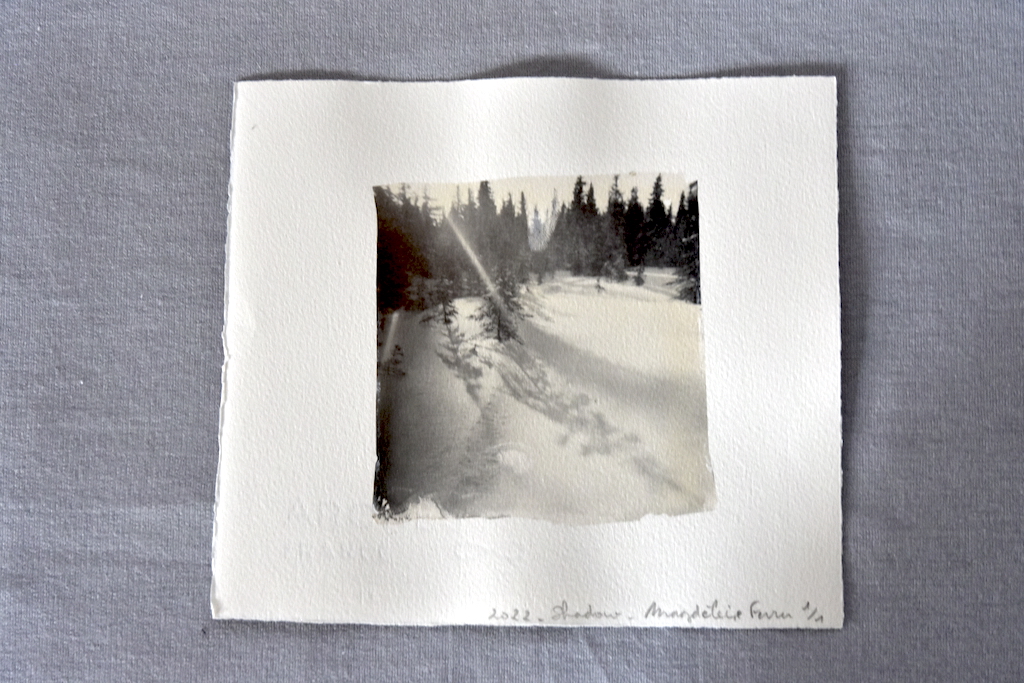 DSC1377 Un hiver