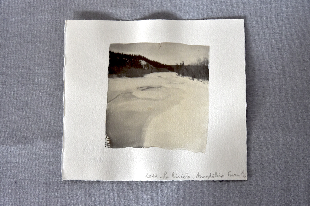 DSC1384 Un hiver