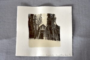 DSC1388-300x200 justmagd.com