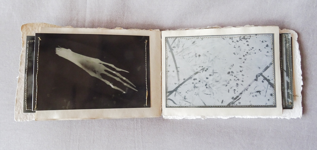 Magdeleine.Ferru_.soeurs.sylve_.-13 Artist Book