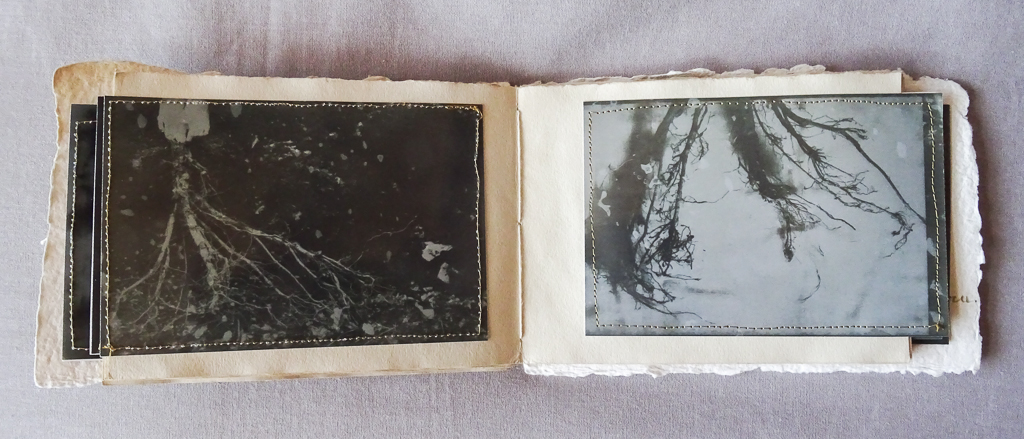Magdeleine.Ferru_.soeurs.sylve_.-16 Artist Book