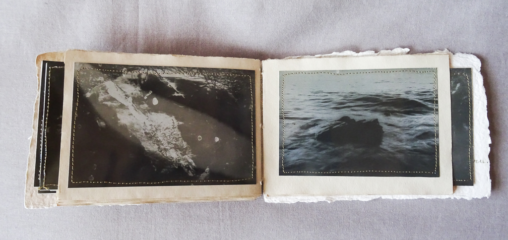 Magdeleine.Ferru_.soeurs.sylve_.-21 Artist Book