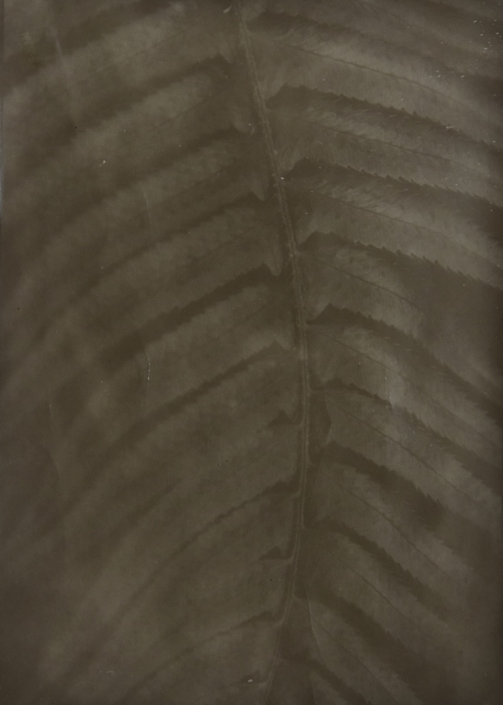 022.M.Ferru_.soeurs.sylve_ Photos / experimentation